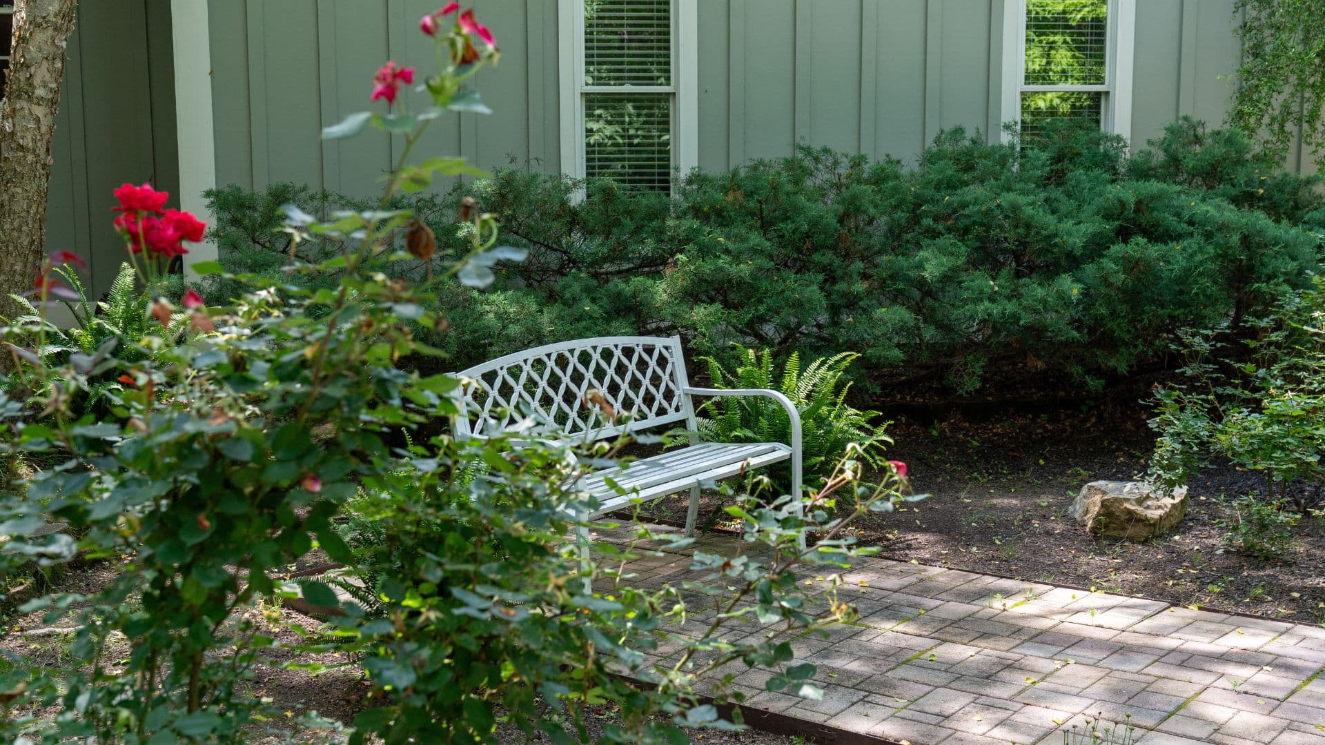 A white metal bench sits amidst lush greenery and blooming red roses in a garden pathway. A white metal bench sits amidst lush greenery and blooming red roses in a garden pathway.