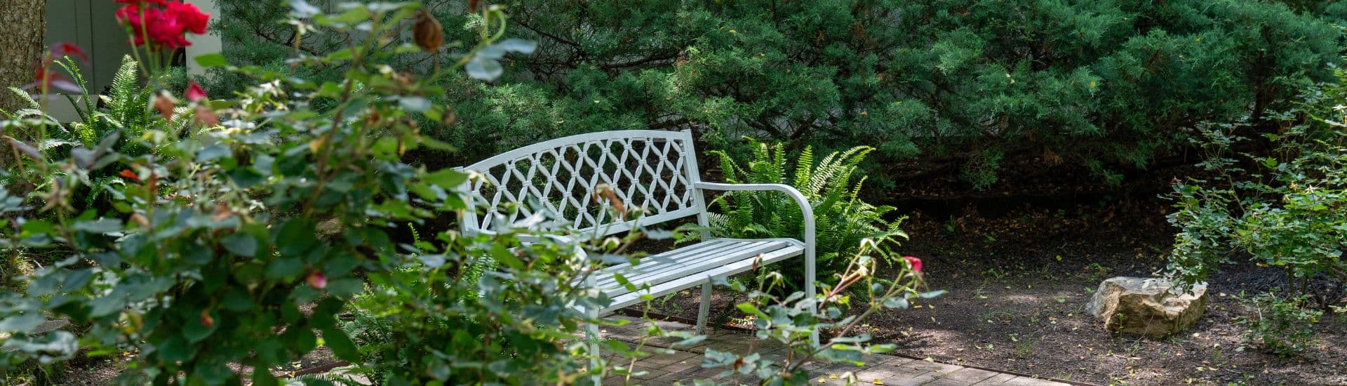 A white bench surrounded by lush greenery and blooming roses in a tranquil garden setting.