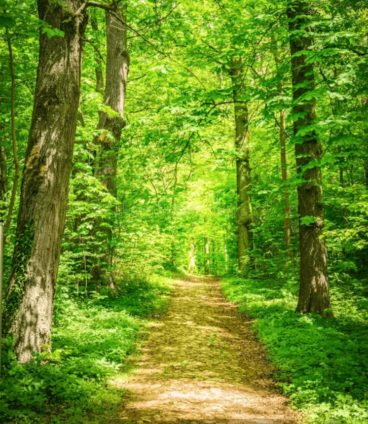 Nature, peaceful, relaxing